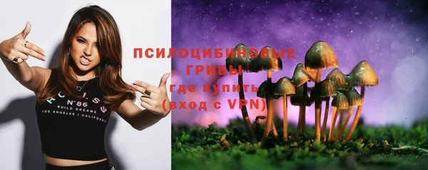 гашик Алзамай
