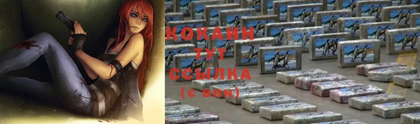 гашик Алзамай