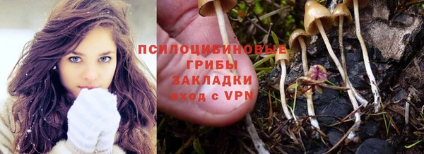 стаф Абаза